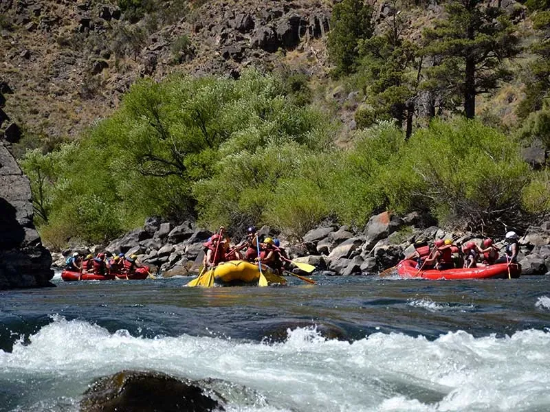 Paisaje de montaña 11