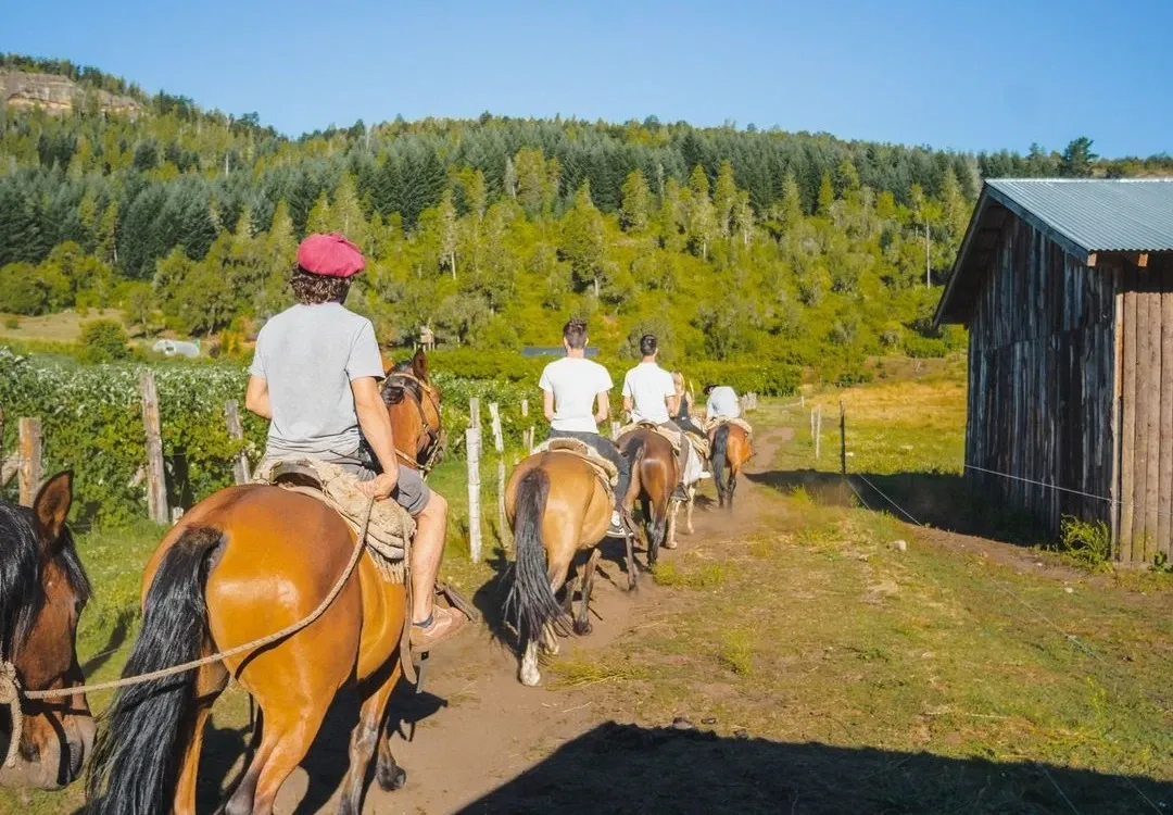 Paisaje de montaña 5