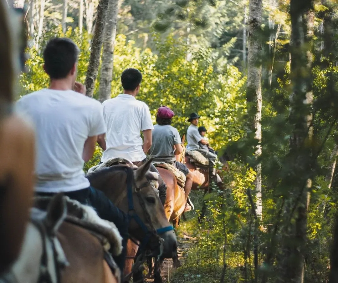 Paisaje de montaña 1