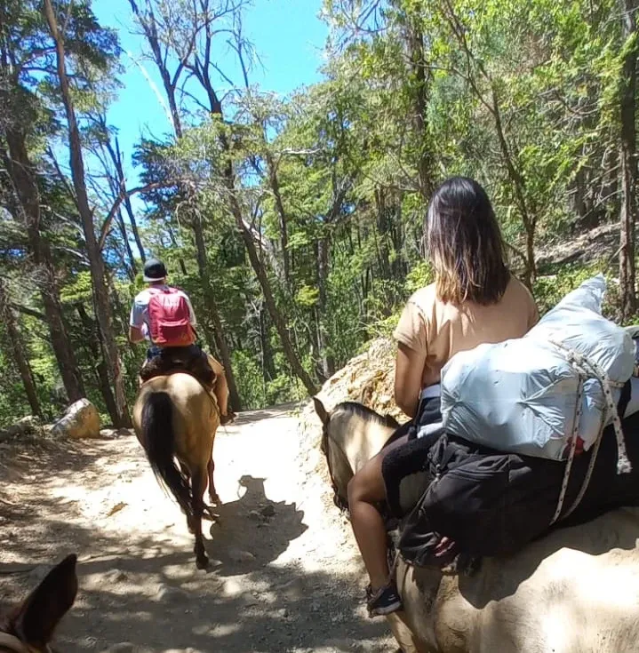 Paisaje de montaña 9