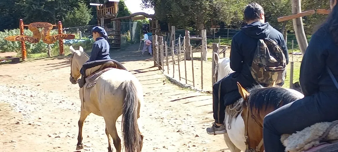 Paisaje de montaña 10