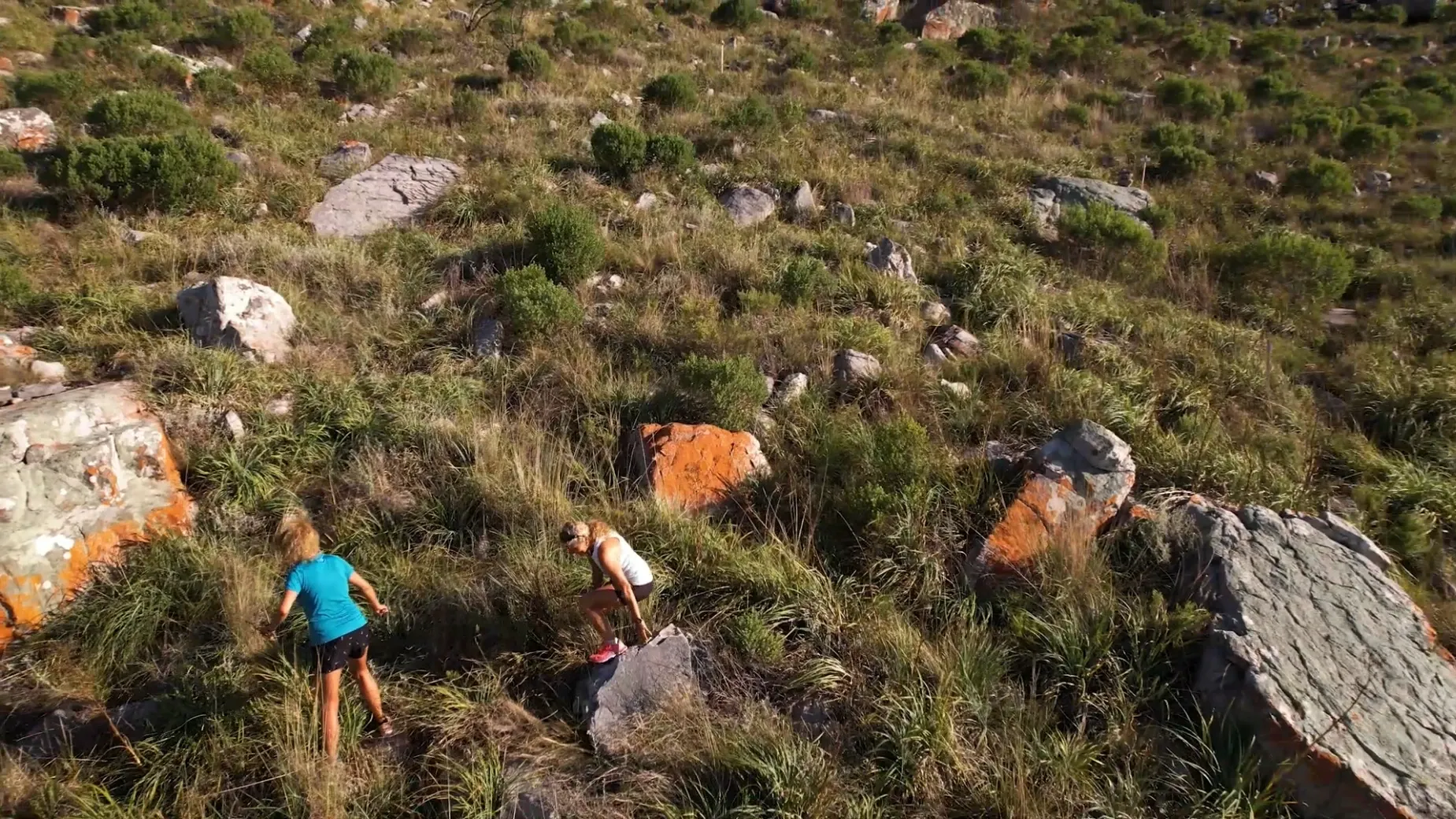 Paisaje de montaña 5