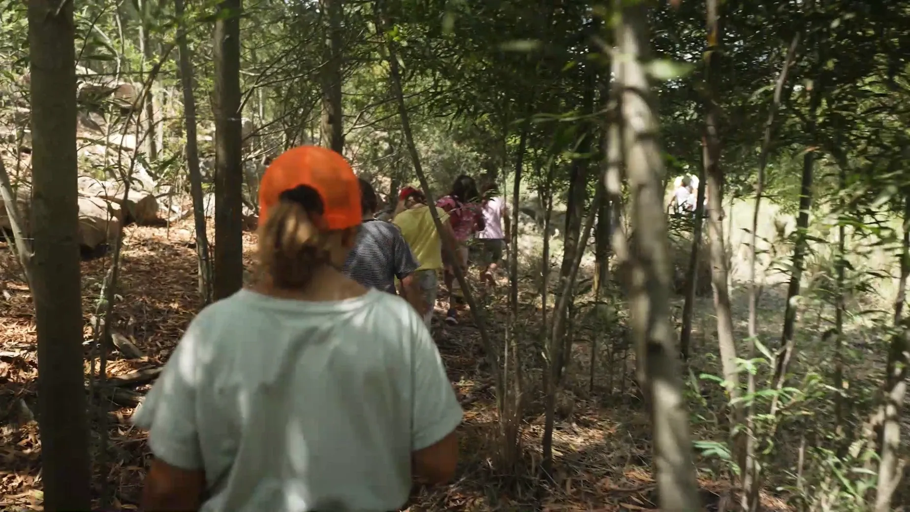 Paisaje de montaña 8