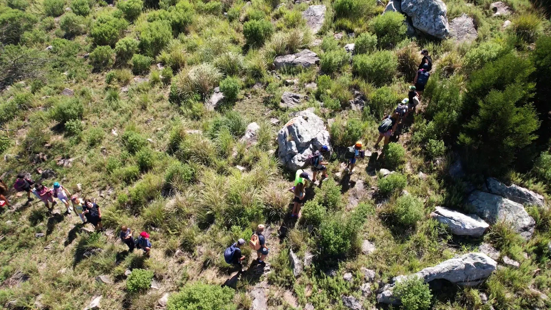 Paisaje de montaña 9