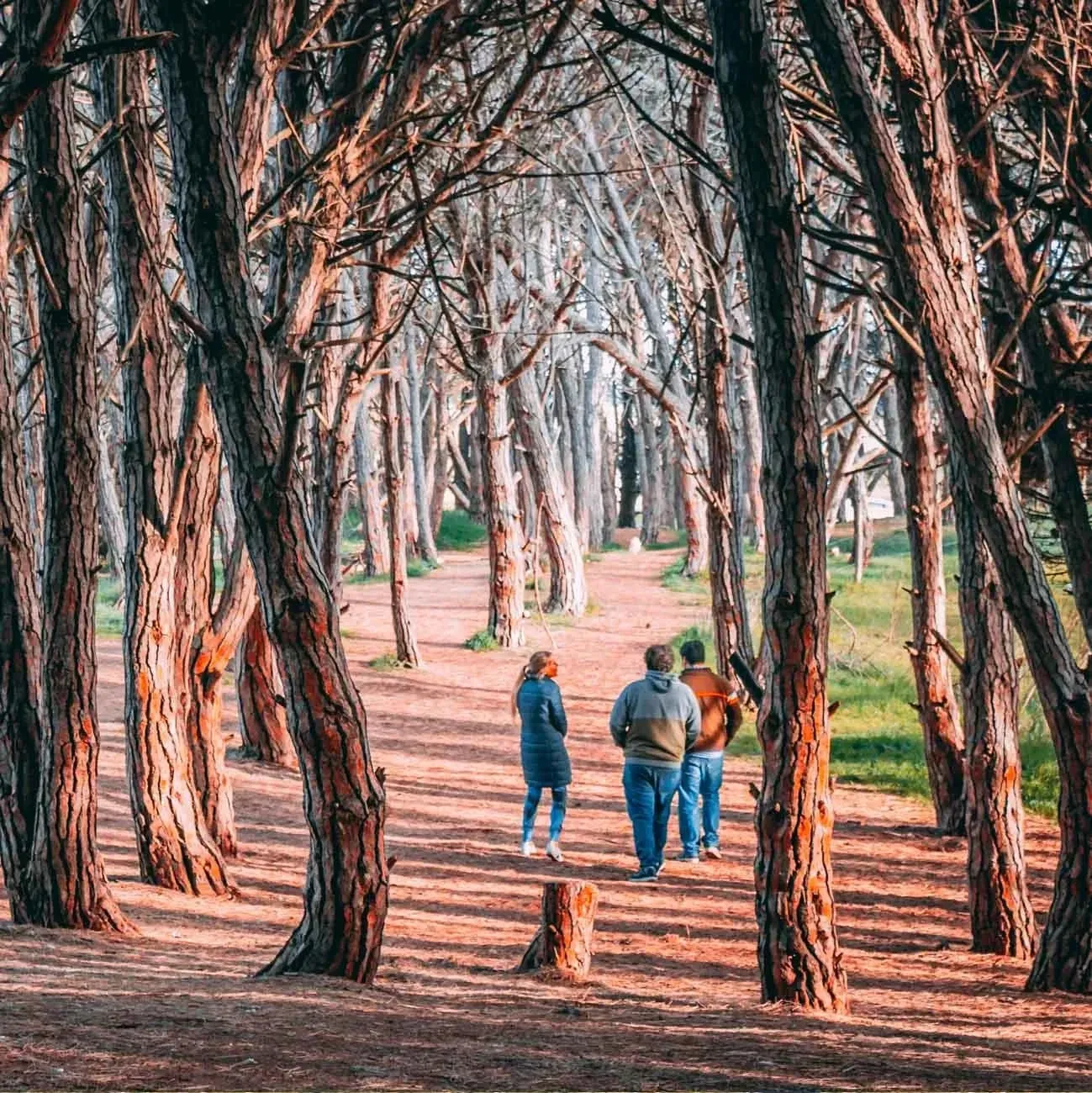 Paisaje de montaña 1