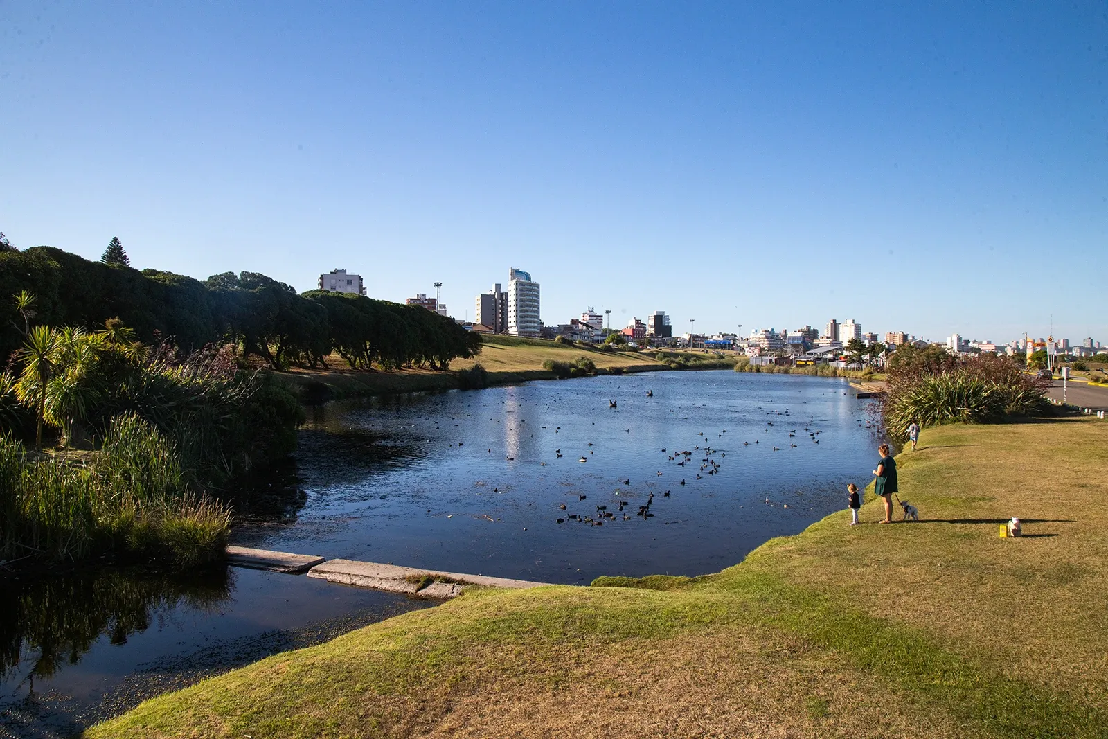 Paisaje de montaña 7
