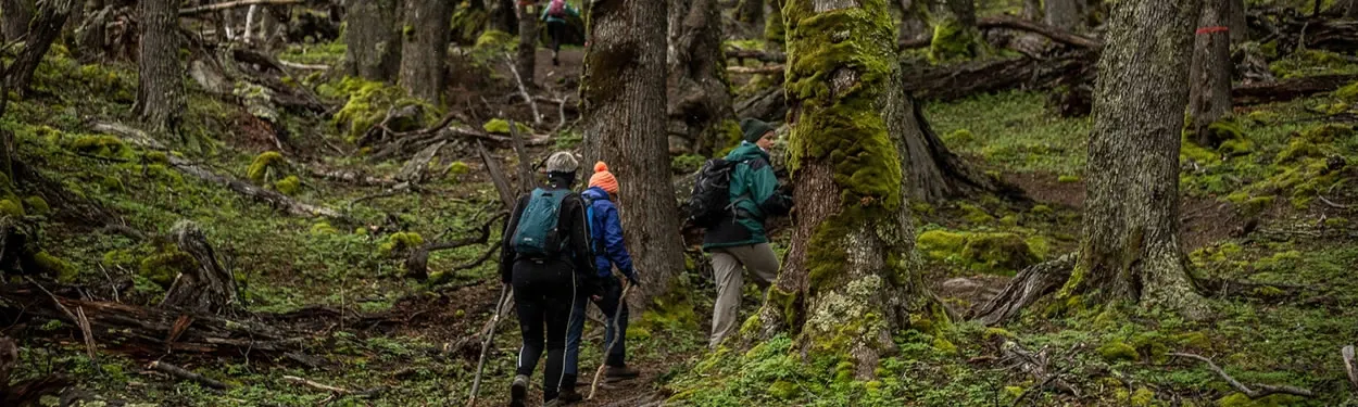 Paisaje de montaña 4