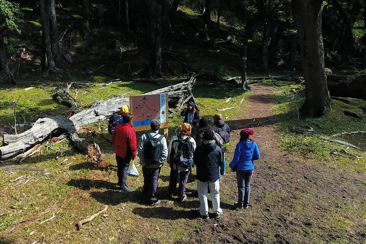 Paisaje de montaña 6