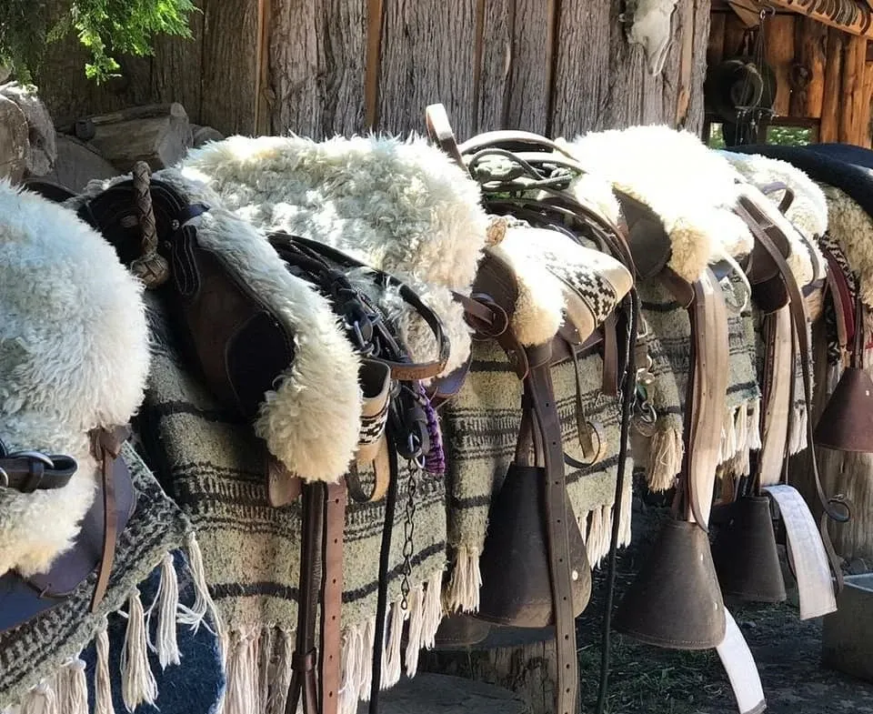 Paisaje de montaña 6