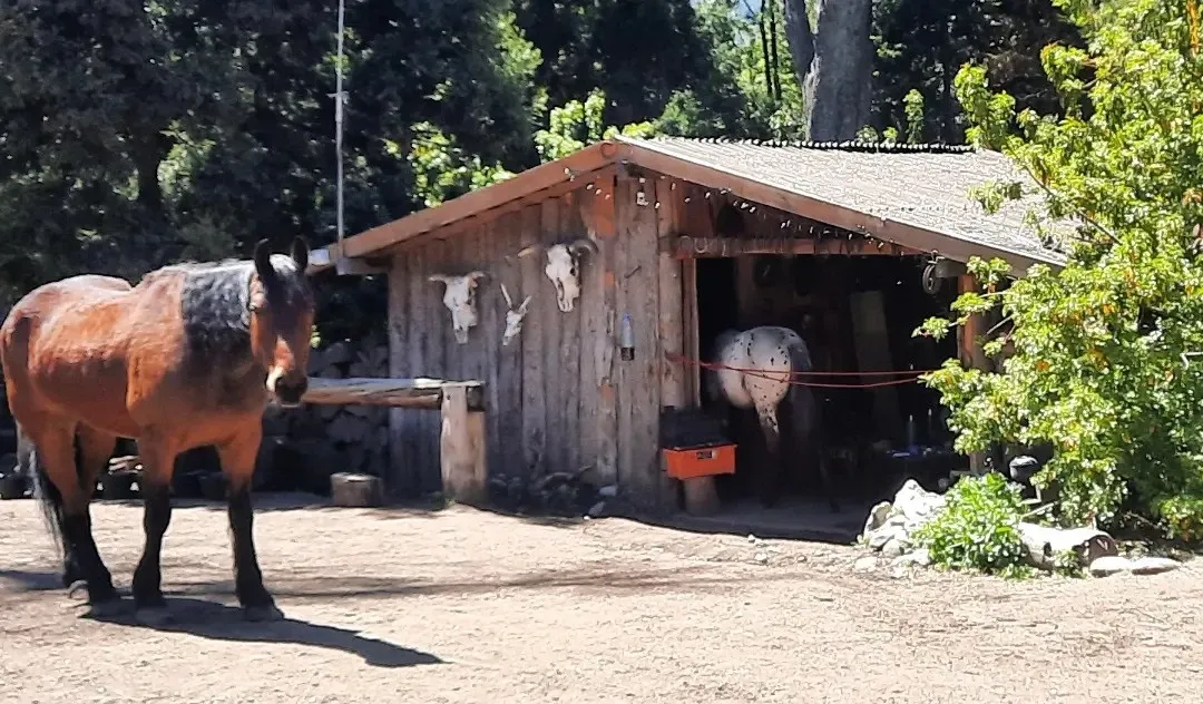 Paisaje de montaña 12