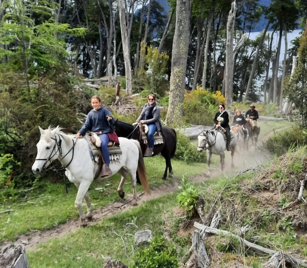 Paisaje de montaña 14