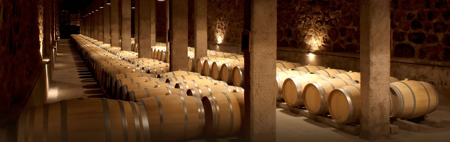 Paisaje de montaña 5