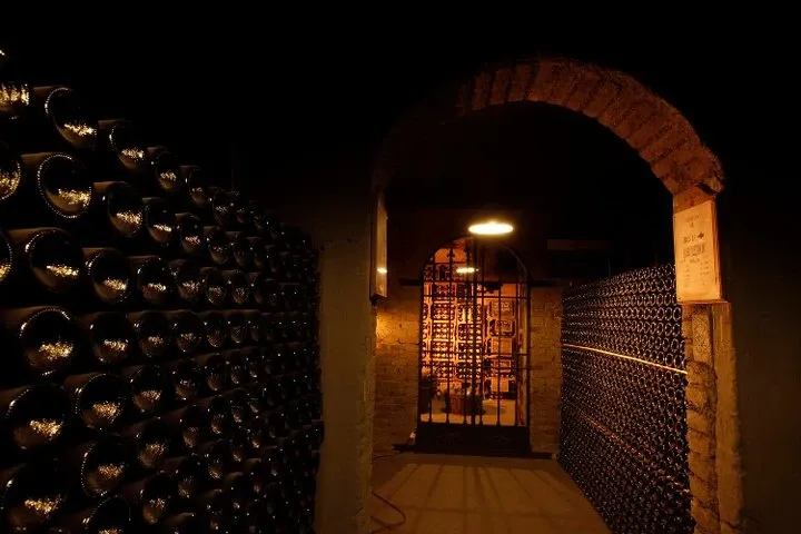 Paisaje de montaña 11