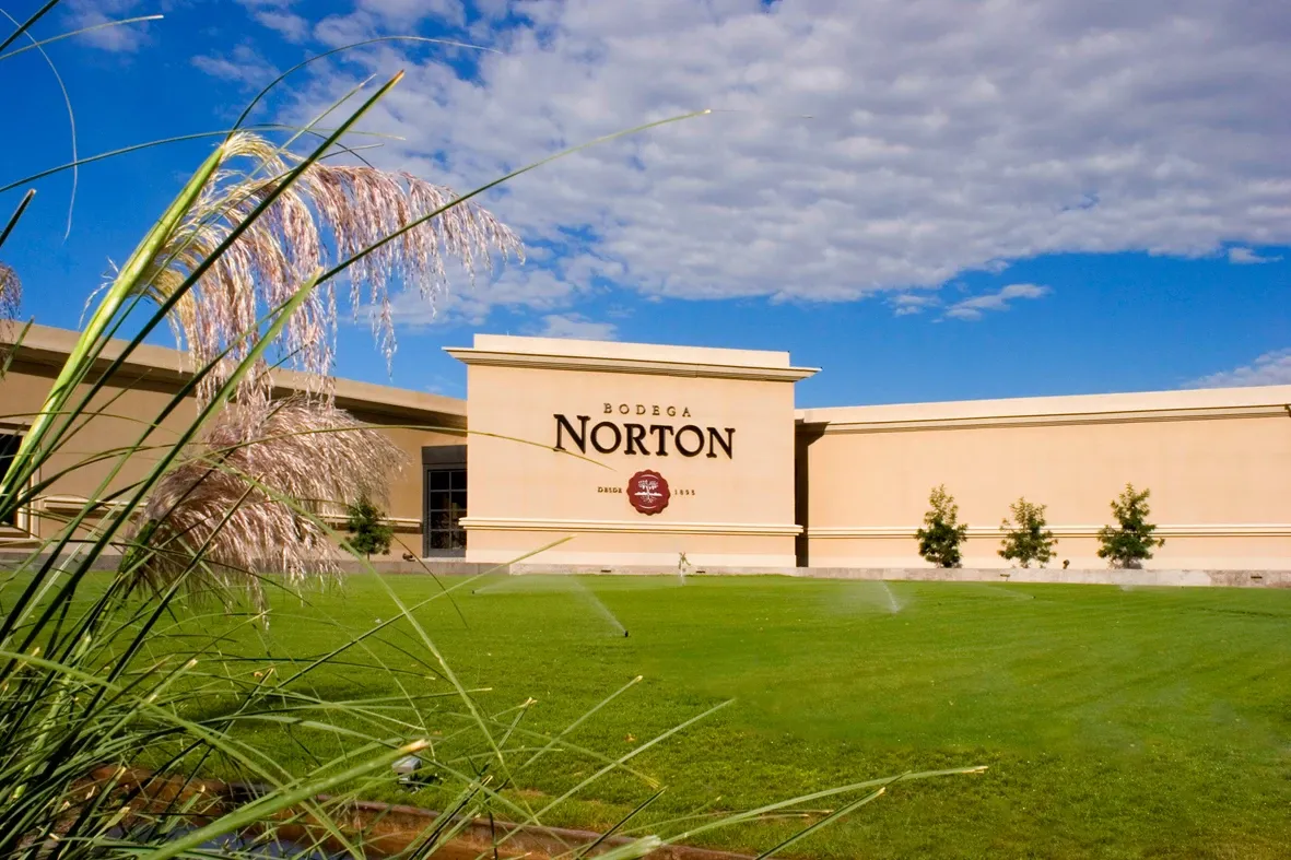 Paisaje de montaña 12