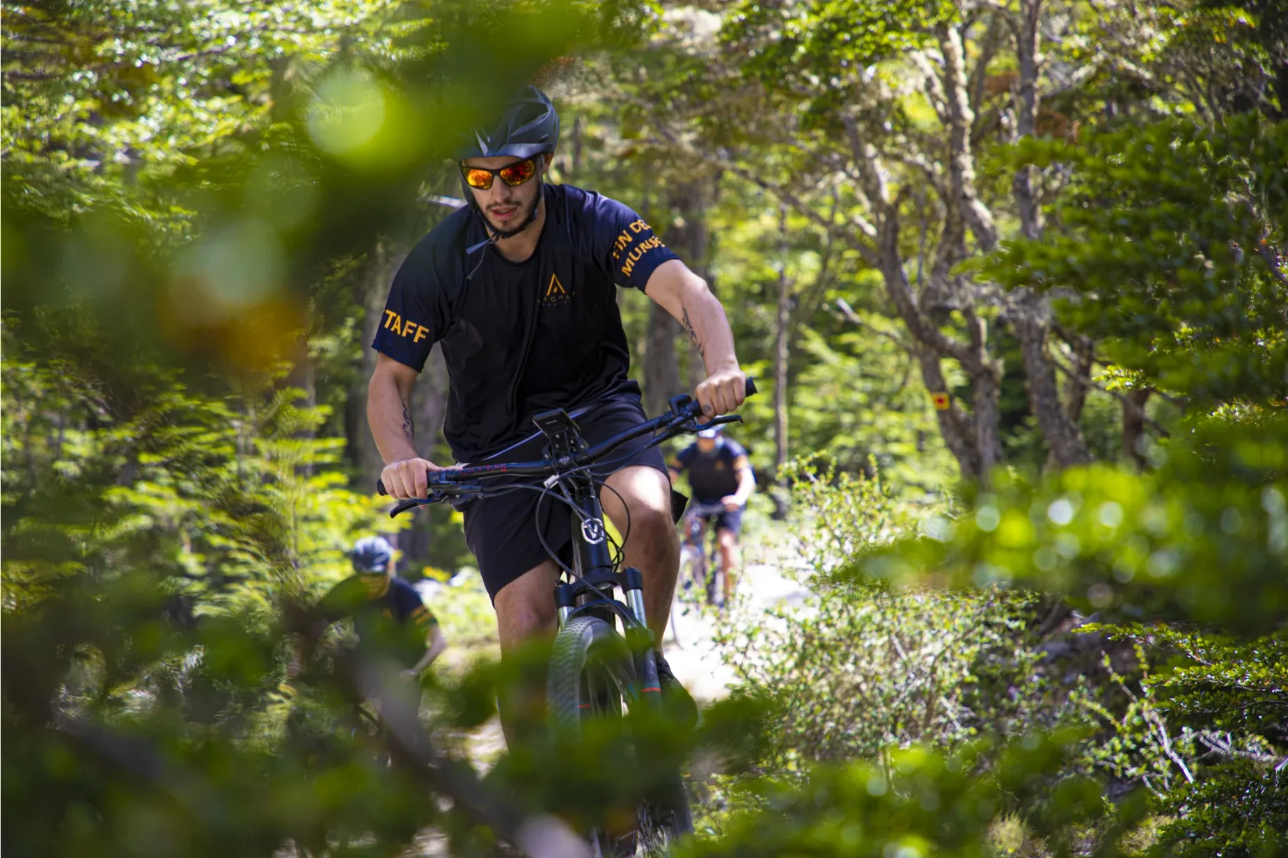 Paisaje de montaña 14