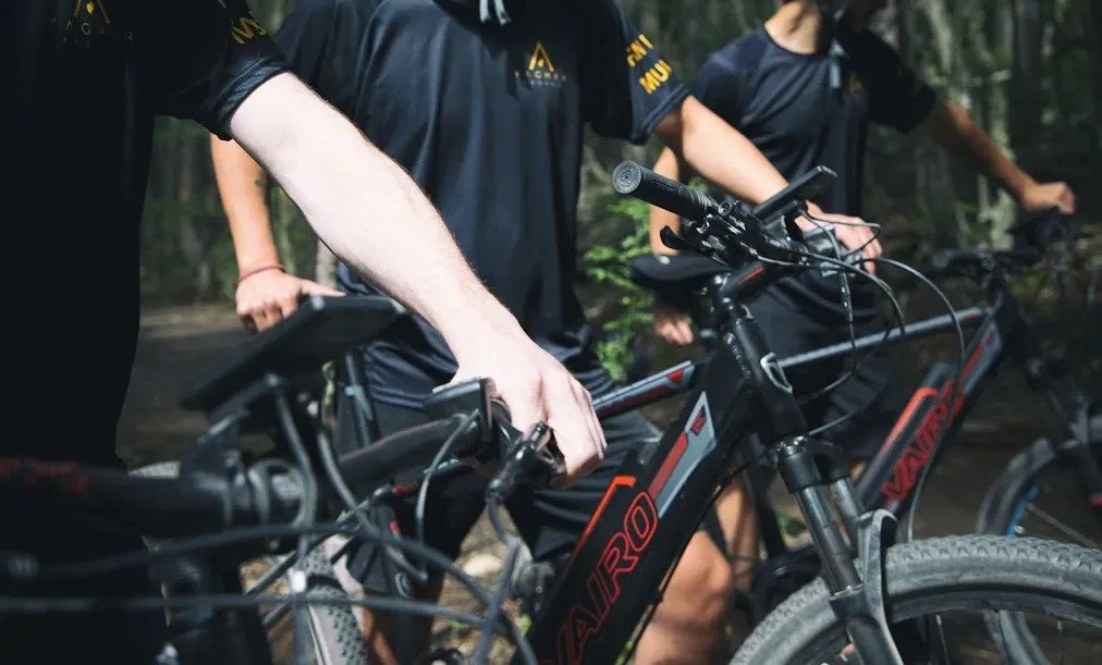 Paisaje de montaña 11