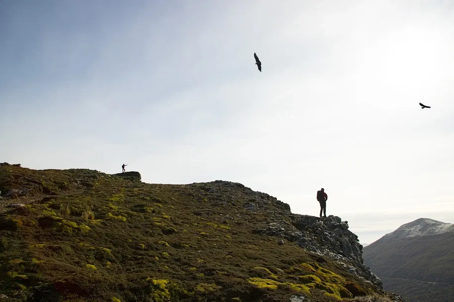 Paisaje de montaña 4