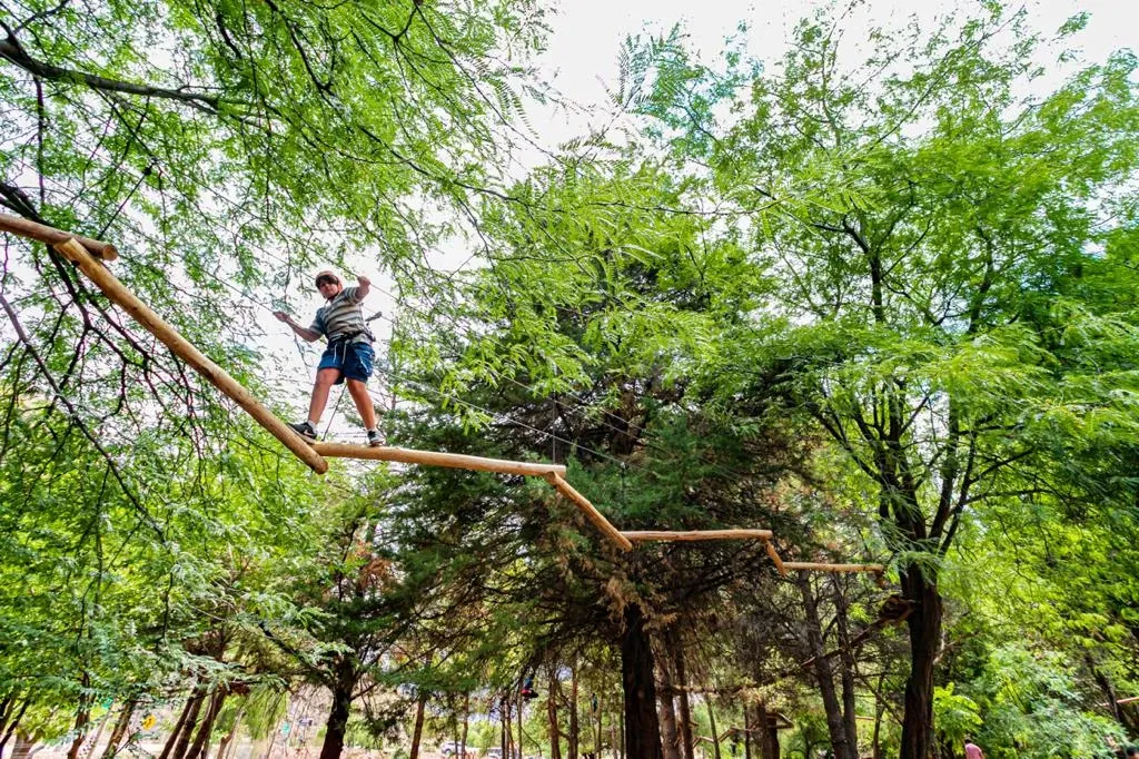 Paisaje de montaña 3