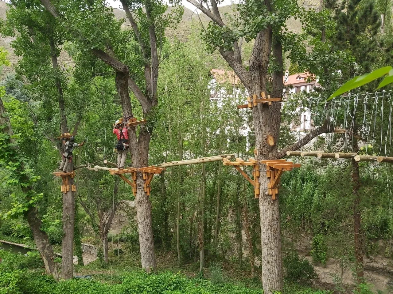 Paisaje de montaña 5