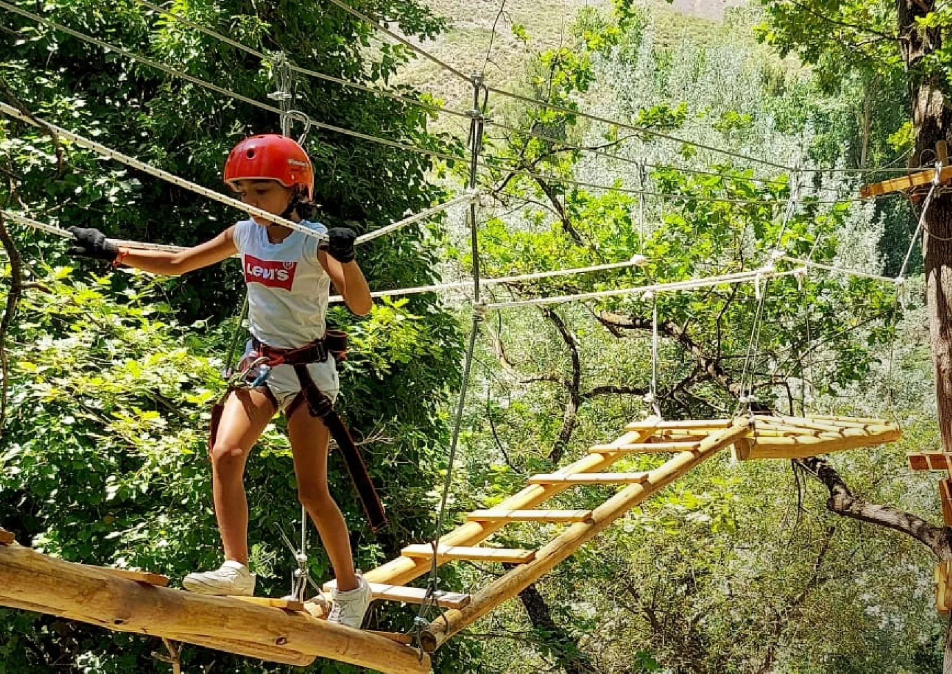 Paisaje de montaña 11