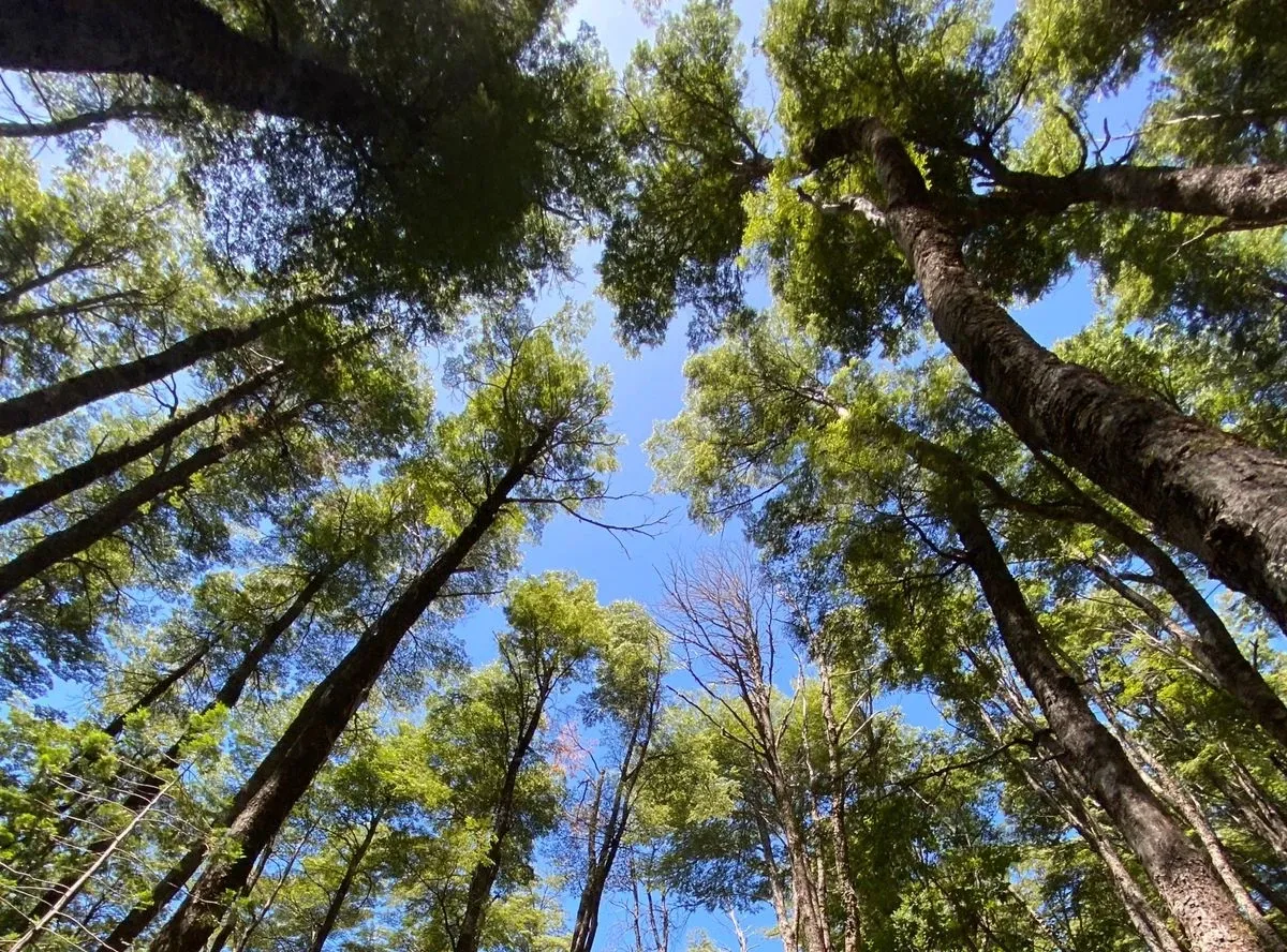 Paisaje de montaña 5