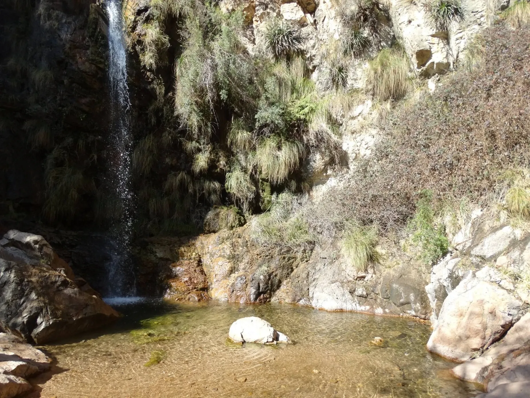 Paisaje de montaña 8