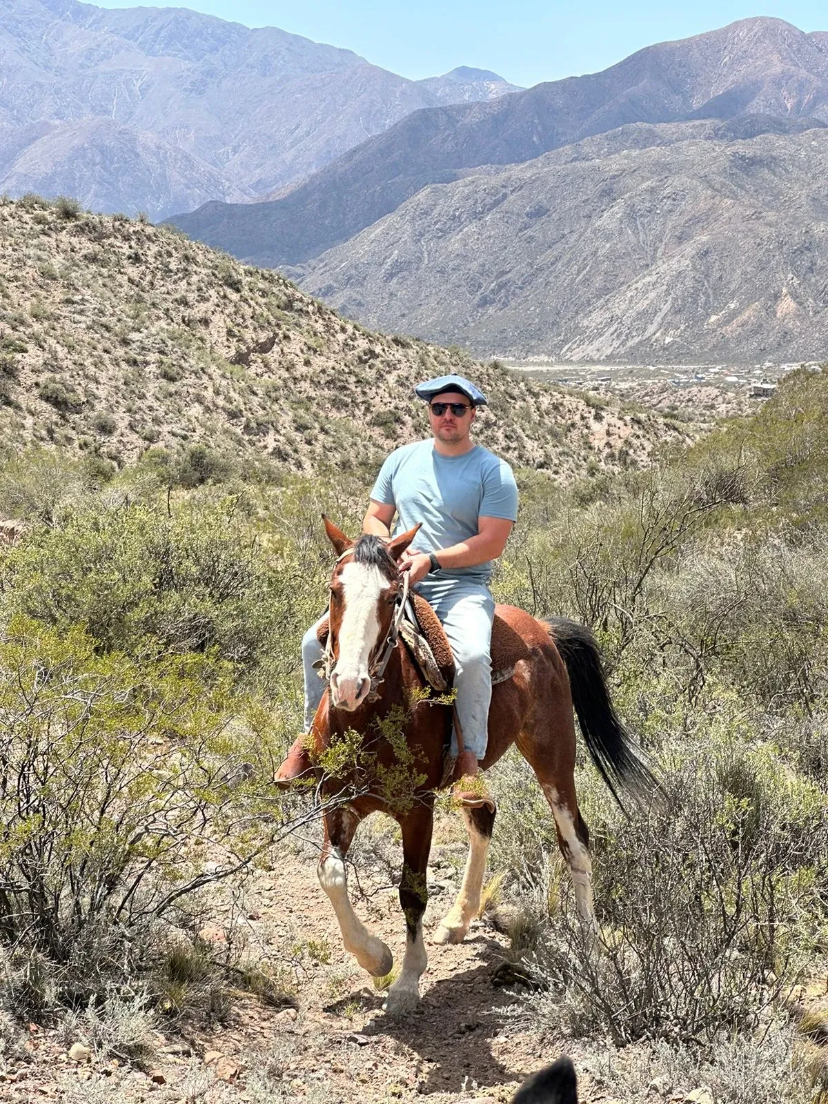 Paisaje de montaña 5