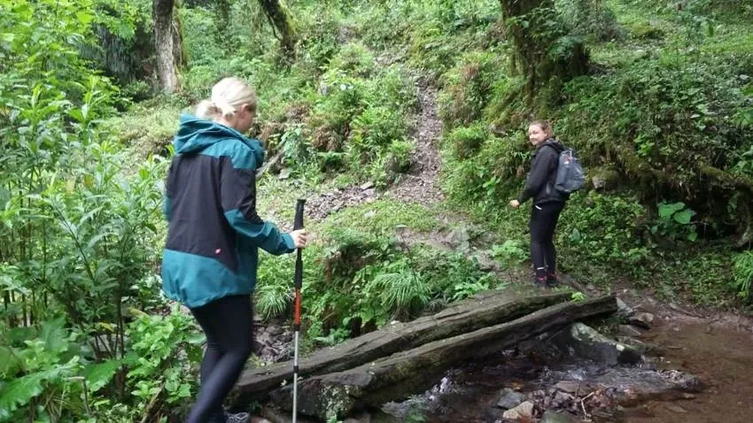 Paisaje de montaña 6