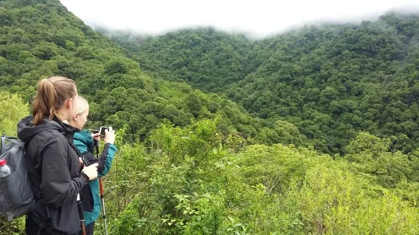 Paisaje de montaña 8