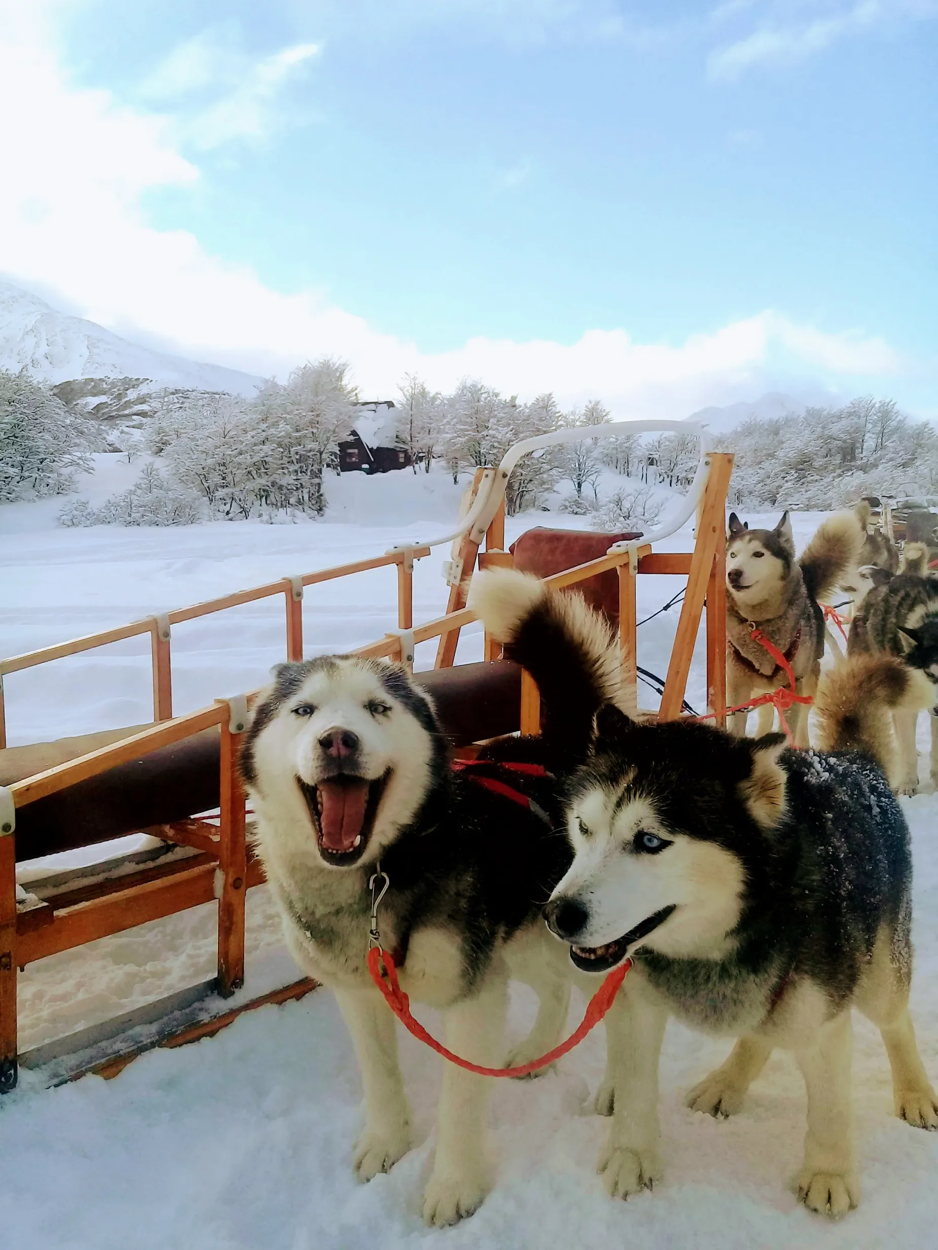 Paisaje de montaña 9