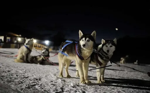 Paisaje de montaña 6