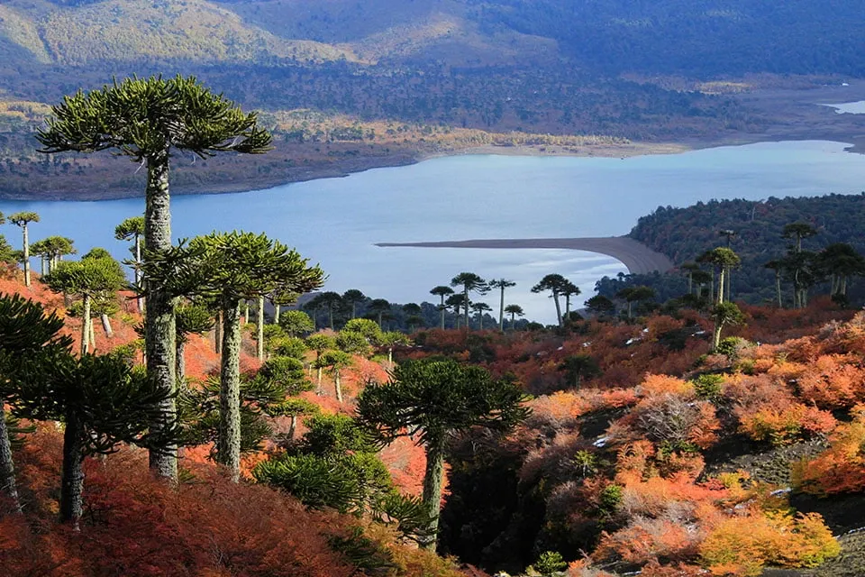 Paisaje de montaña 5