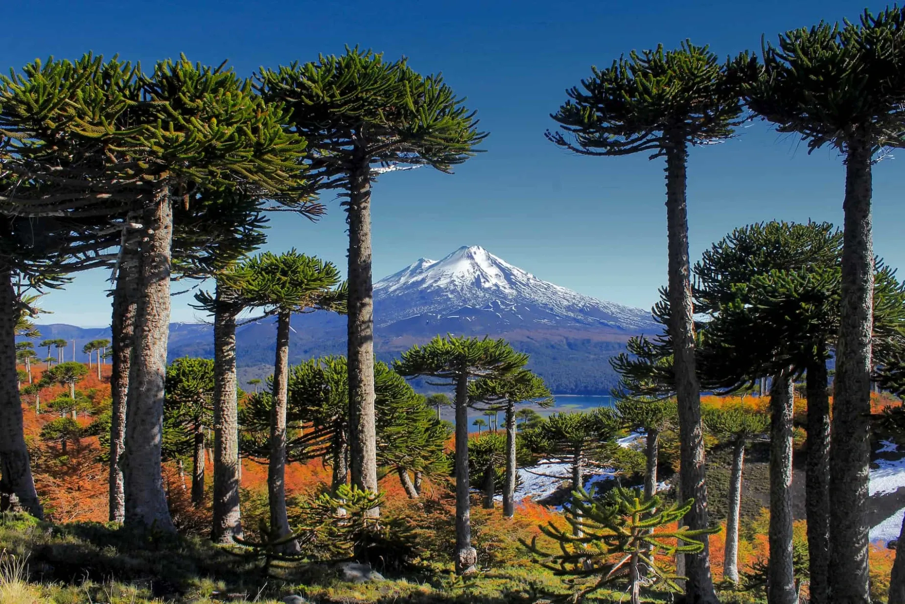 Paisaje de montaña 6