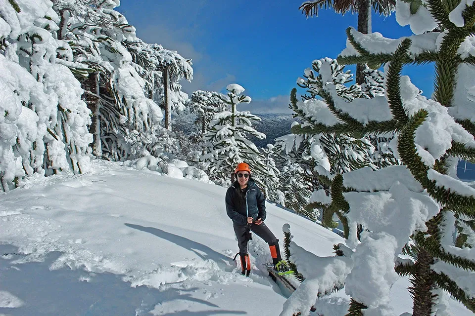 Paisaje de montaña 8