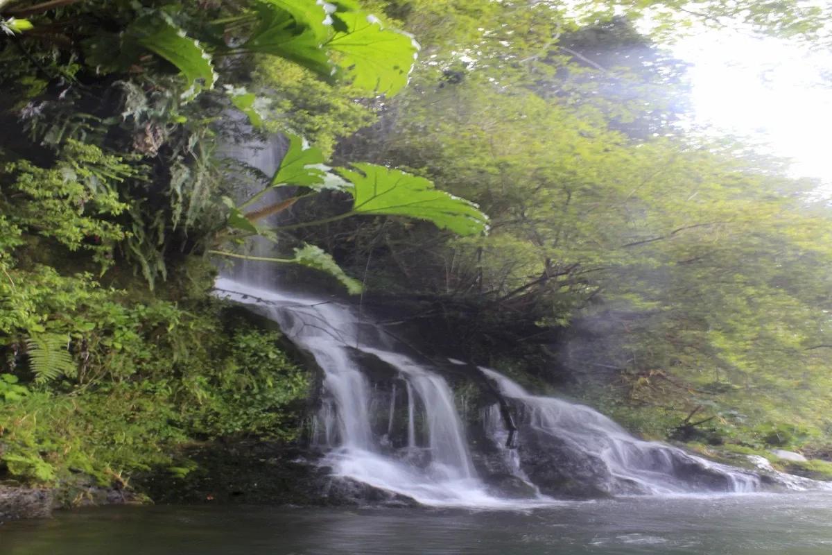 Paisaje de montaña 8