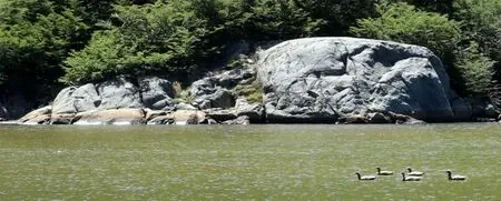 Paisaje de montaña 4