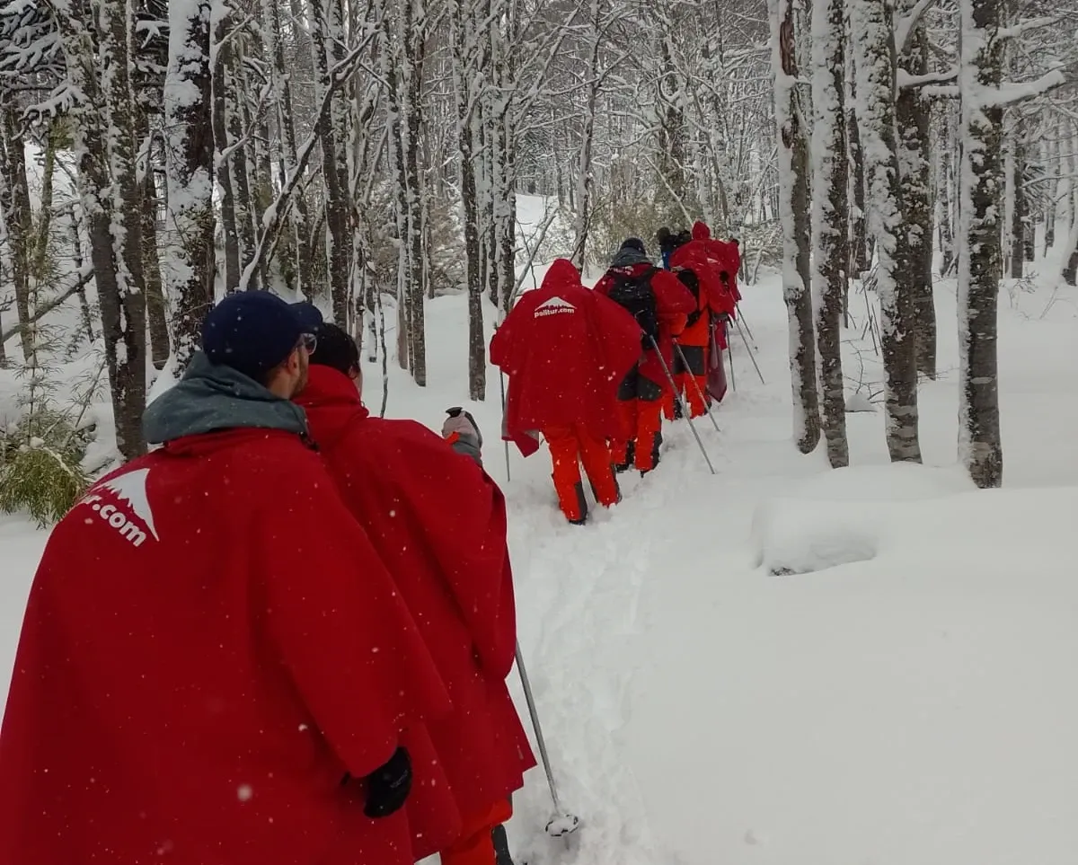 Paisaje de montaña 5