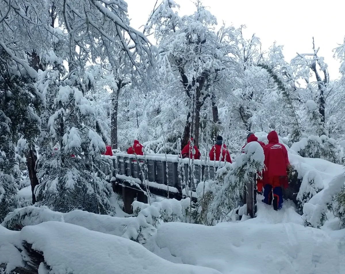 Paisaje de montaña 6