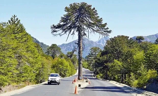 Paisaje de montaña 12