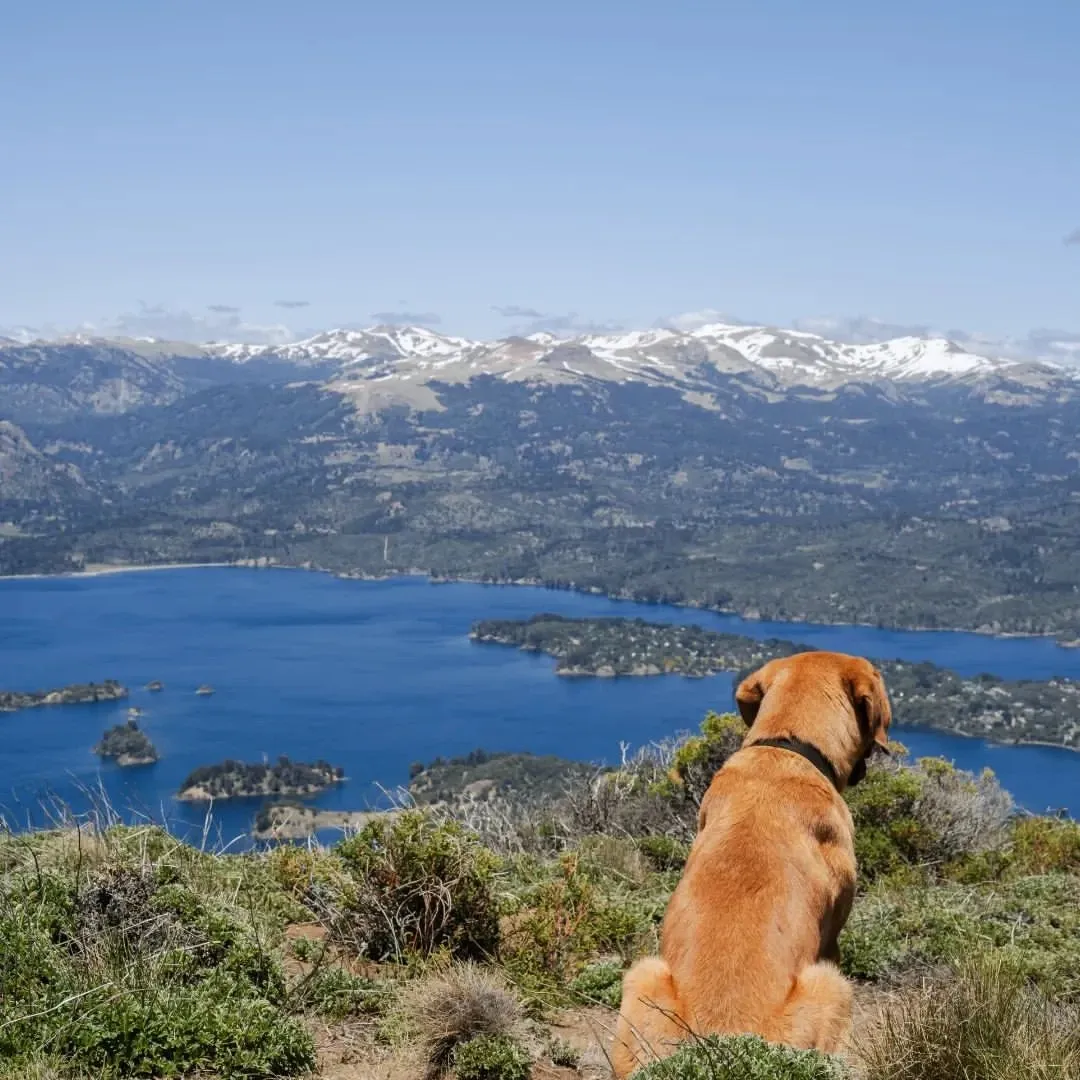 Paisaje de montaña 6