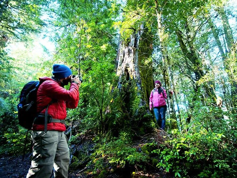 Paisaje de montaña 16