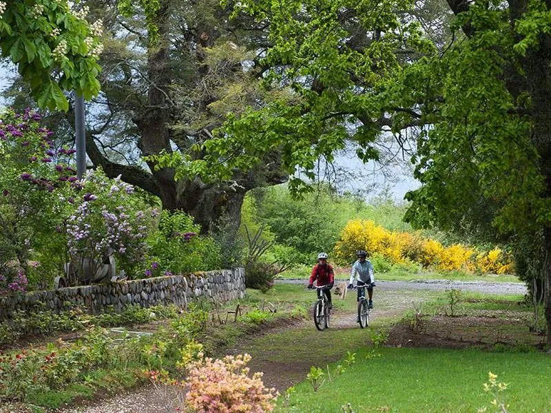 Paisaje de montaña 7