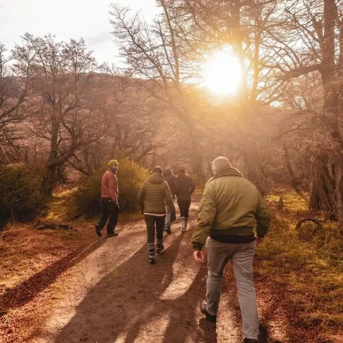 Paisaje de montaña 6