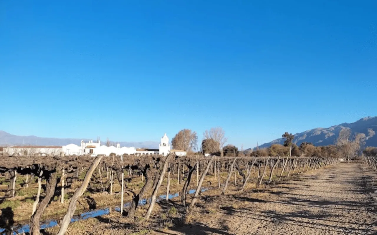 Paisaje de montaña 14