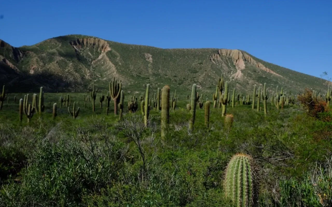 Paisaje de montaña 6