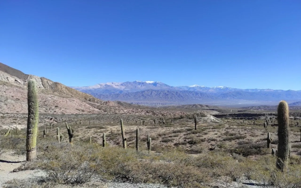 Paisaje de montaña 39