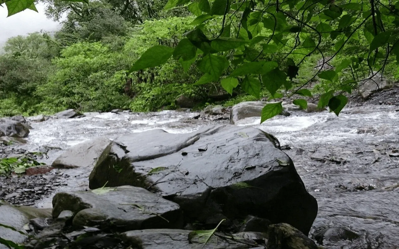 Paisaje de montaña 10