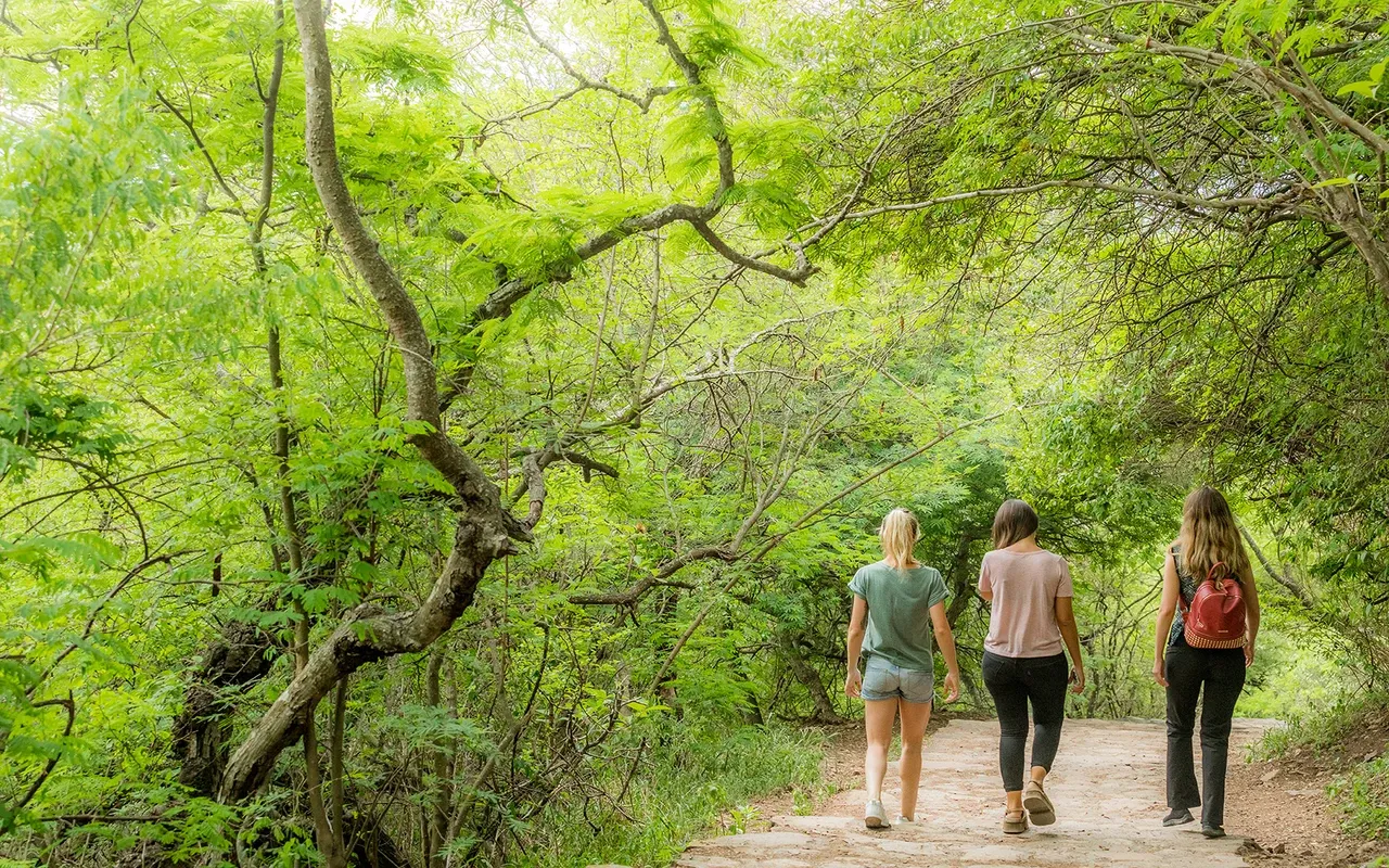 Paisaje de montaña 13