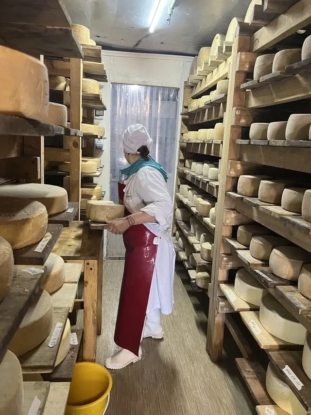 Paisaje de montaña 11