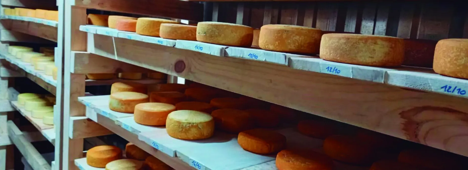 Paisaje de montaña 12